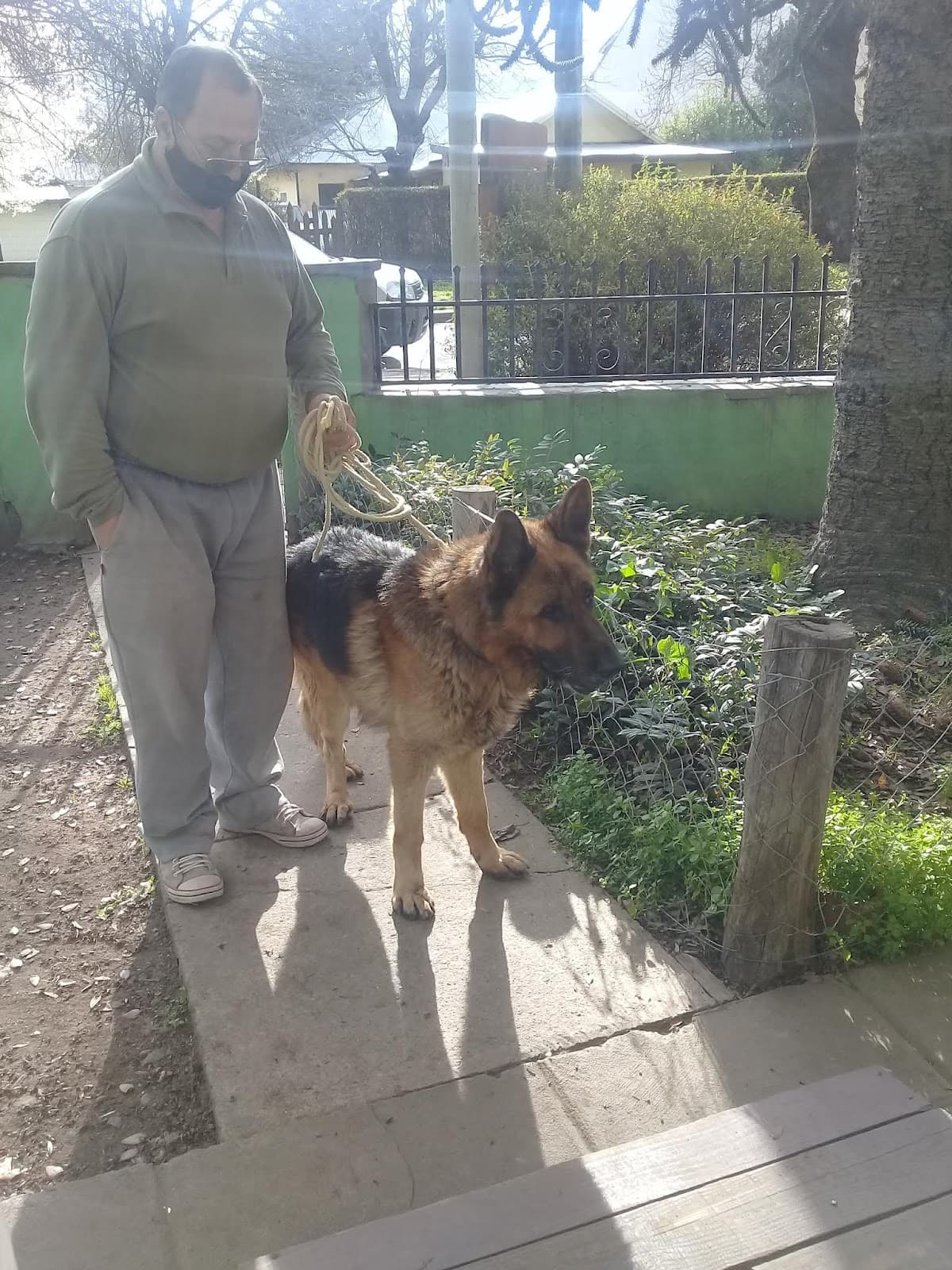 ALMAFUERTE VETERINARIA