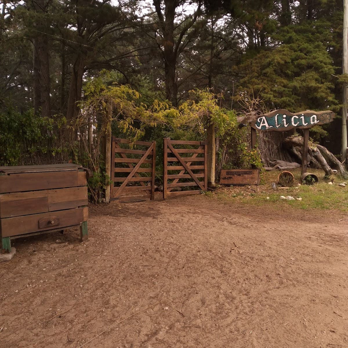 Any bustamante Depilación