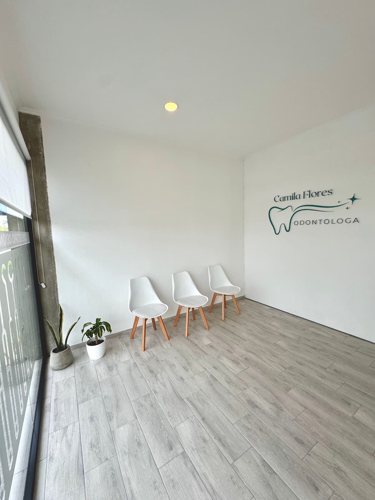 Camila Flores consultorio odontológico