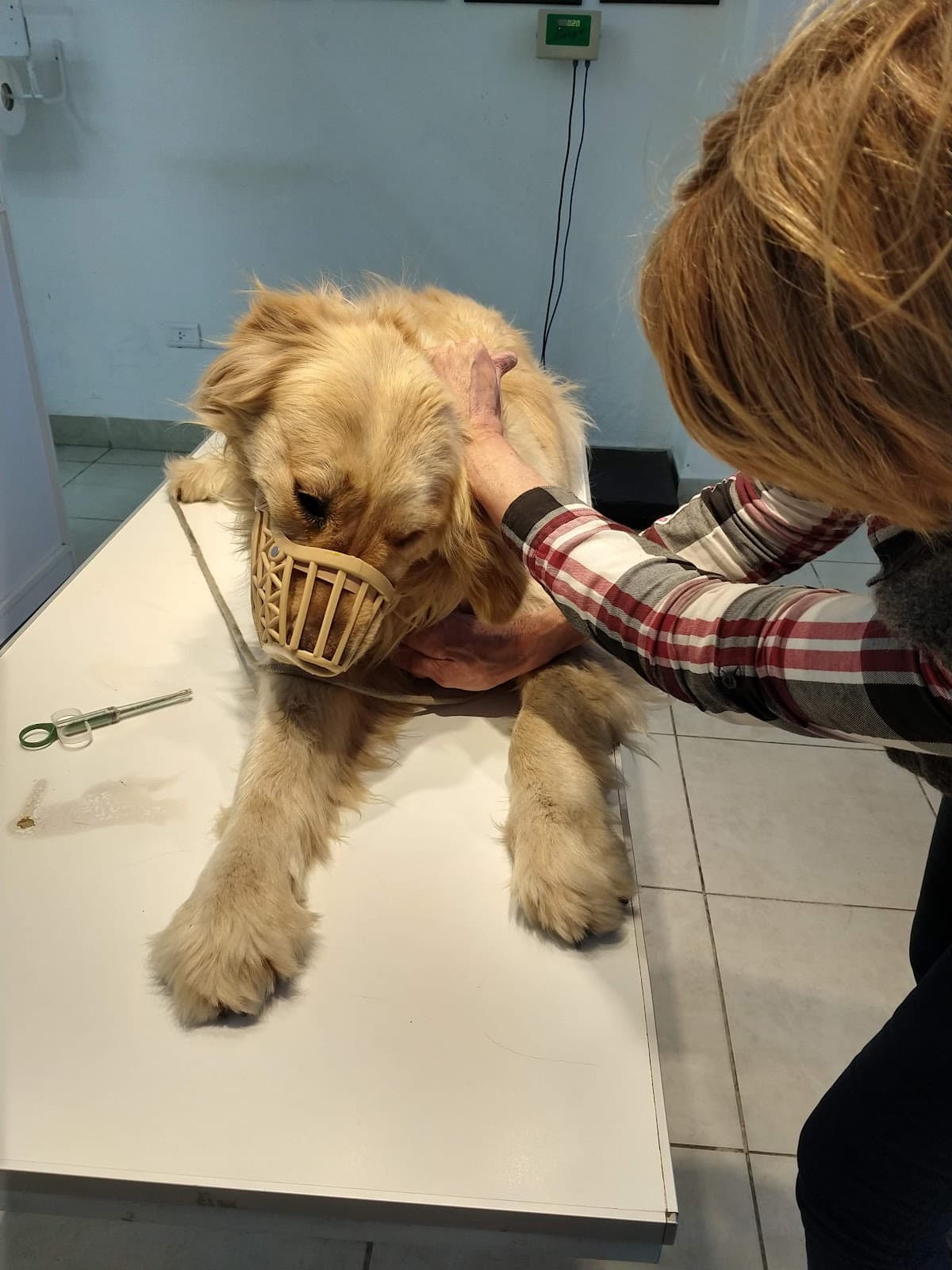 Clínica Veterinaria Hocico's