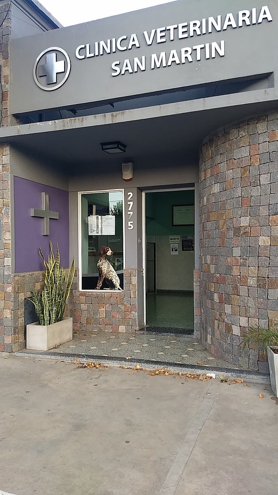 Clinica veterinaria San Martín