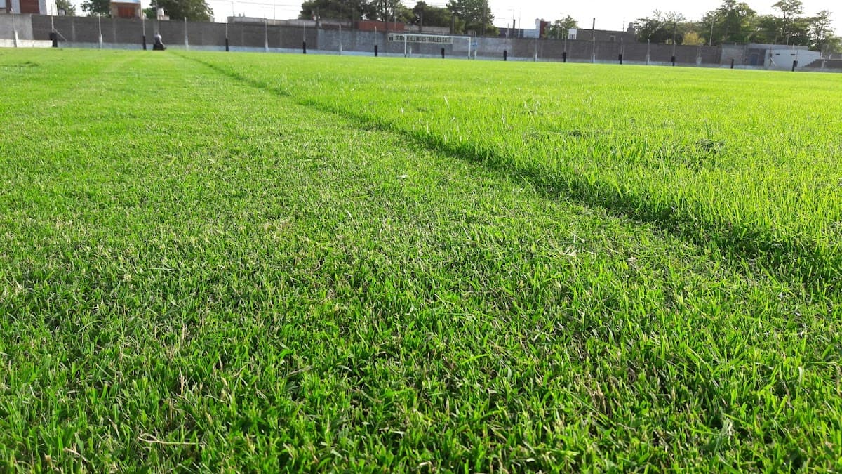 Club Alumni Azuleño