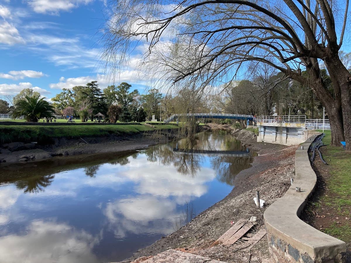 Club de Remo de Azul