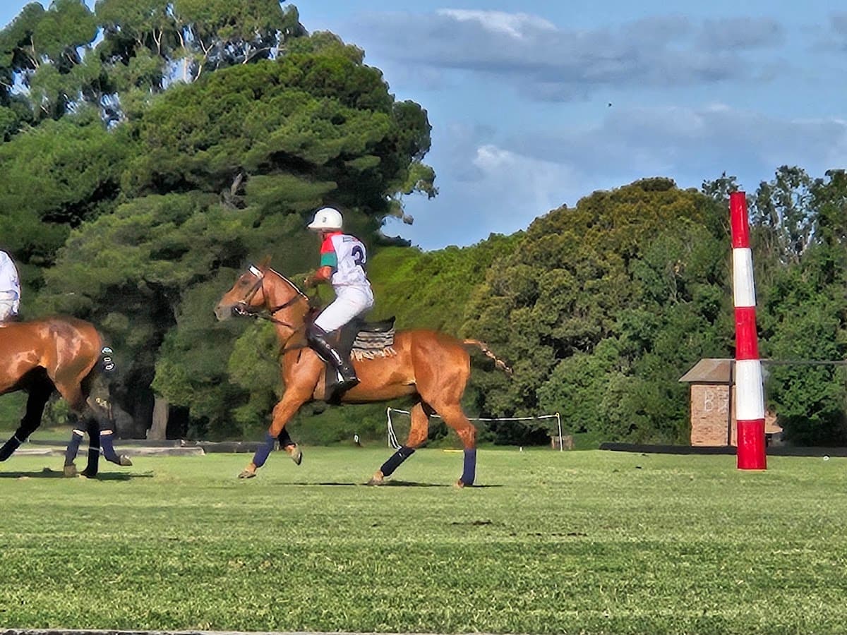 Coronel Suárez Polo Club