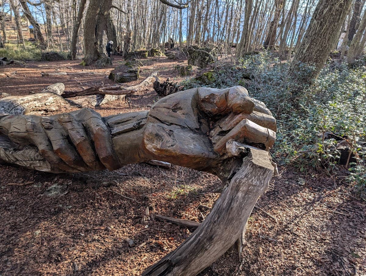 El Bosque Tallado