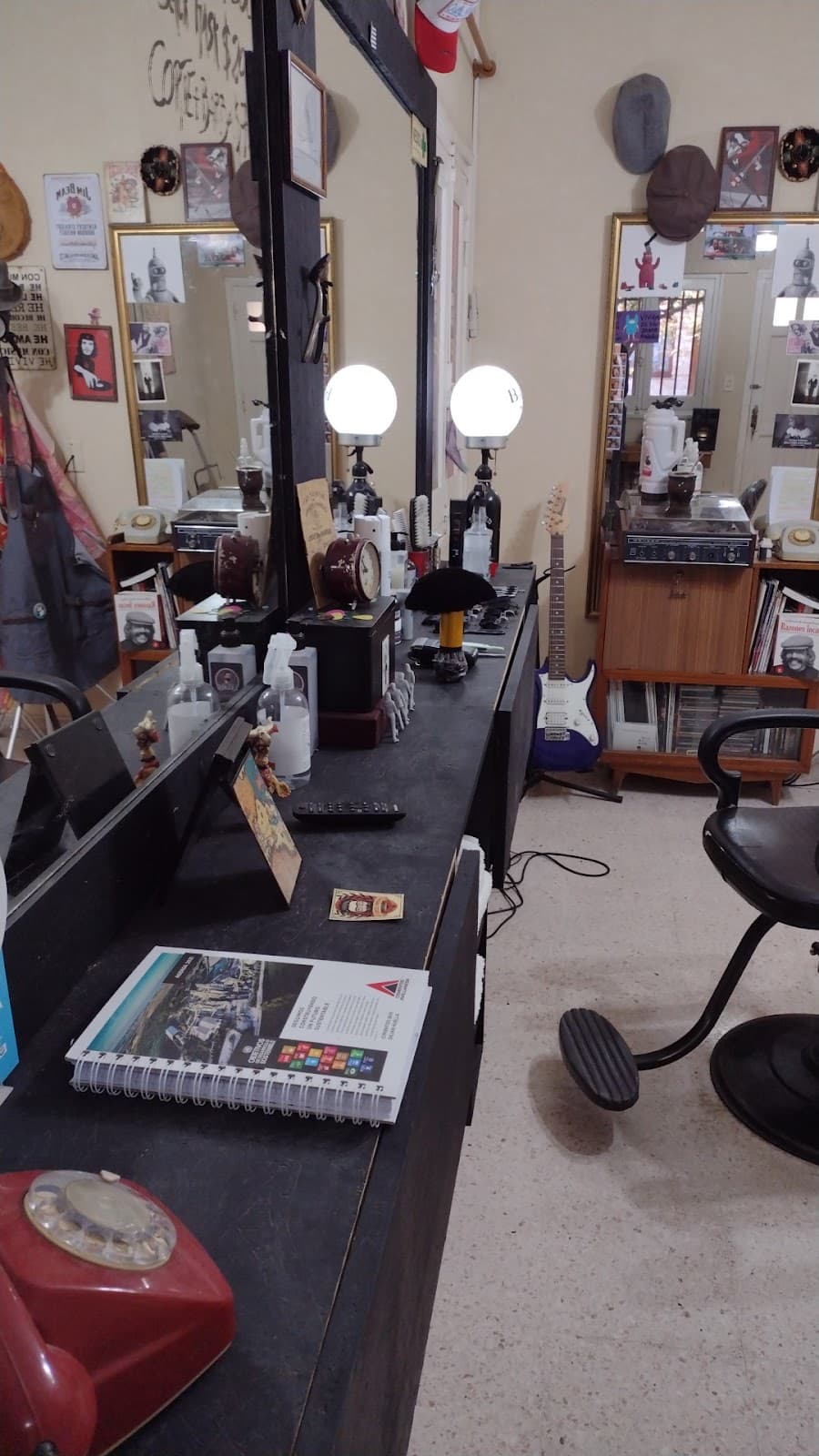 "El Viejo de la Montaña"