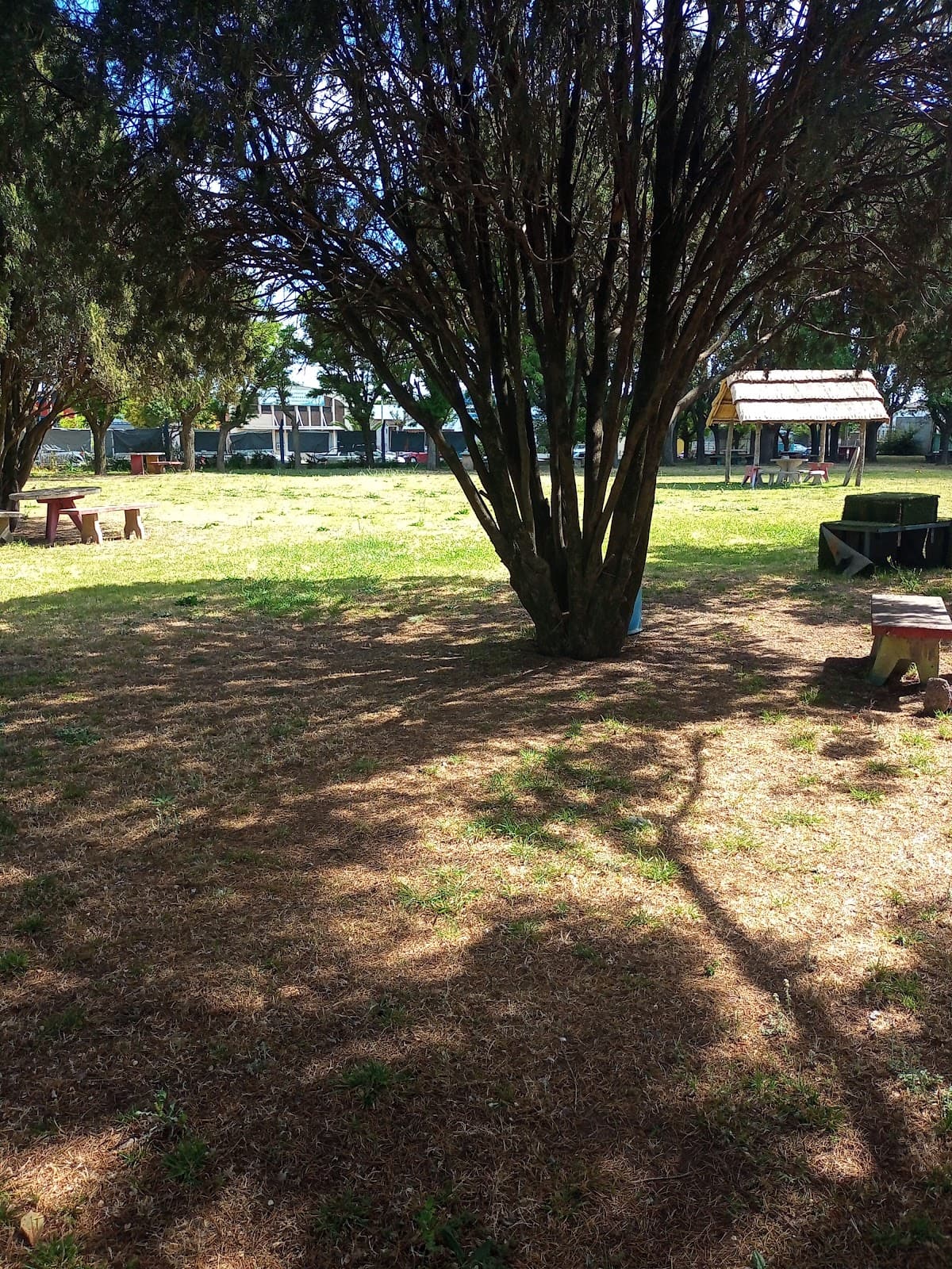 Football Club LIBERTAD