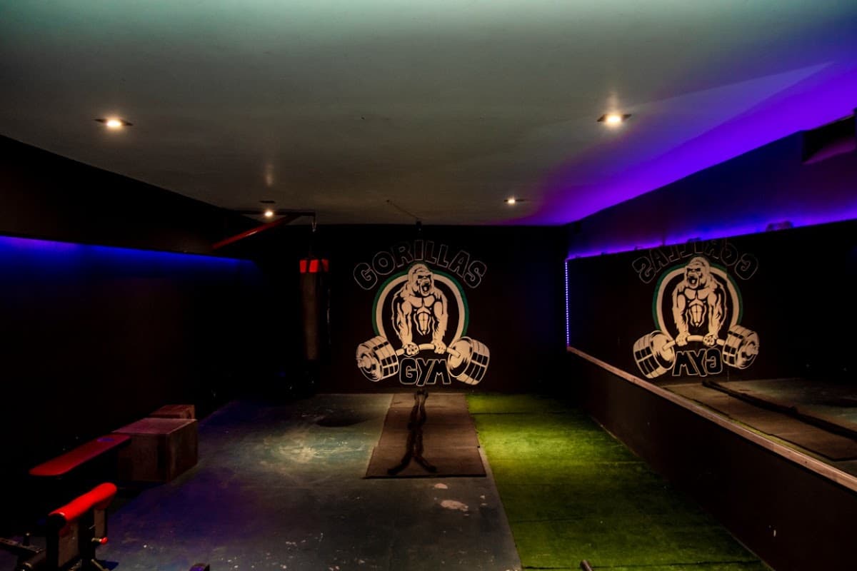 GORILLAS GYM