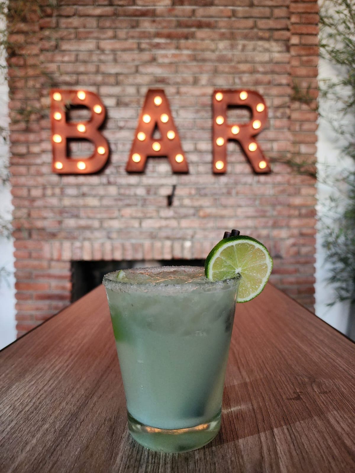 Margarita Drinks Barra de Tragos