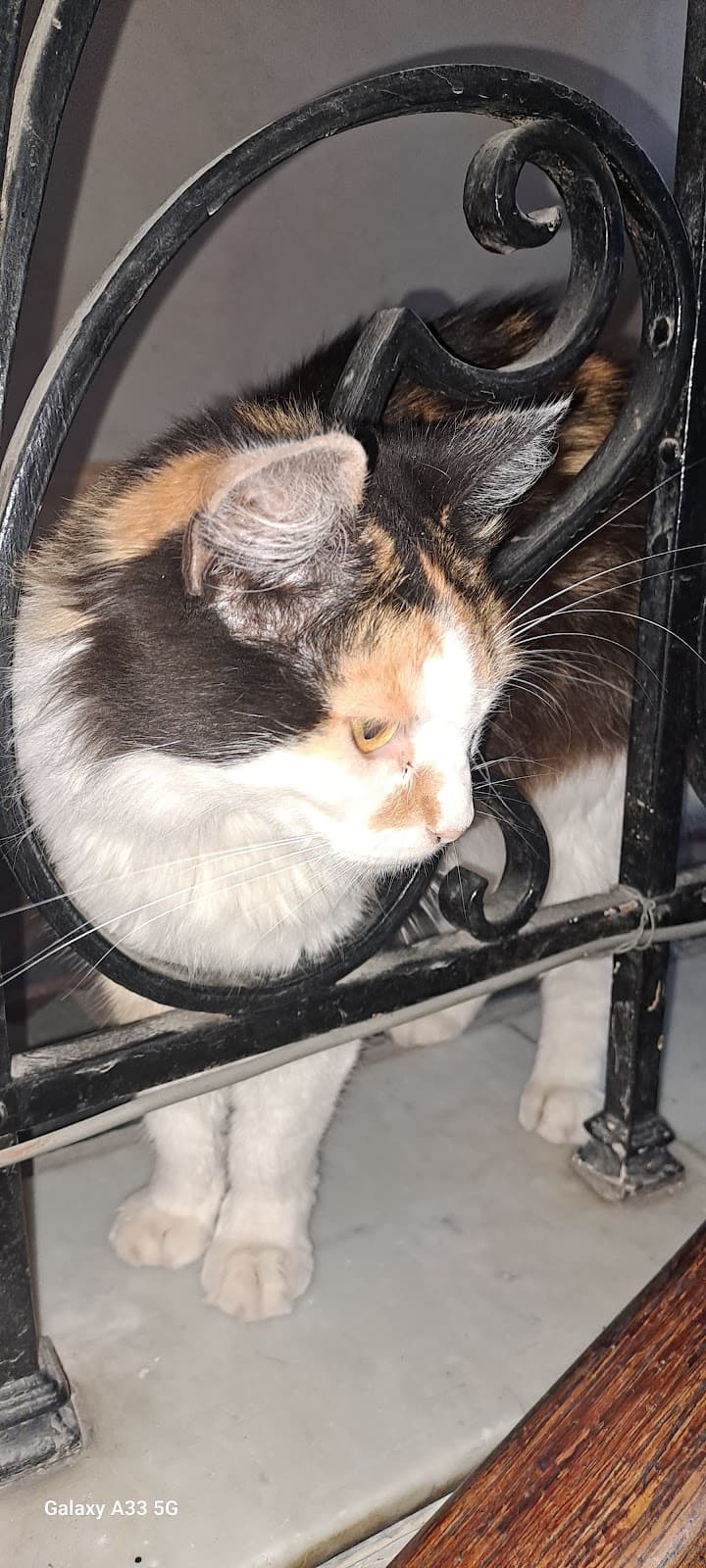 Mb Belleza facial y corporal