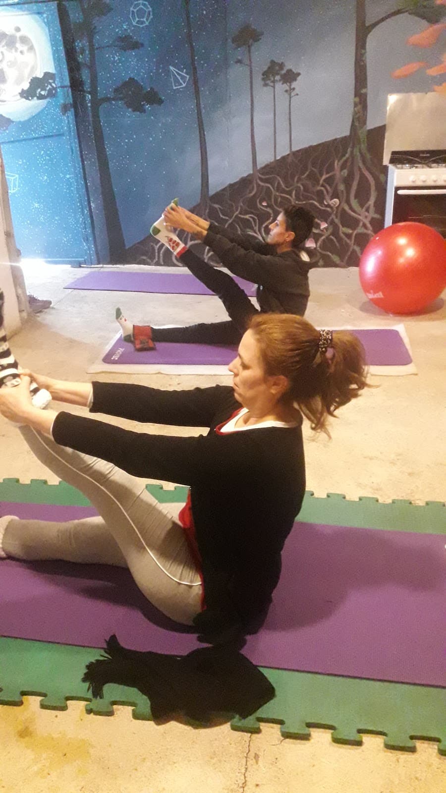 Pilates Corpo Consciente Chapactiva