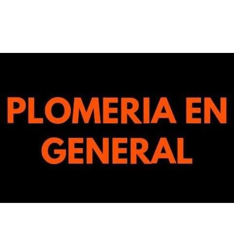 PLOMERIA EN GRAL