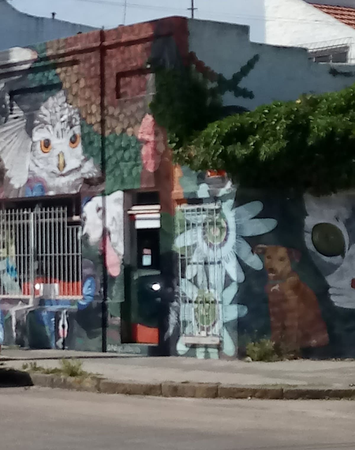 Veterinaria Cruz Violeta