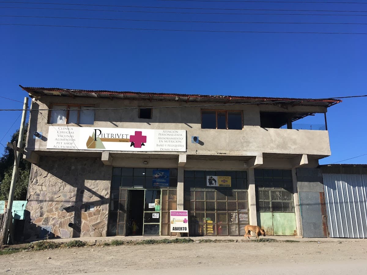 Veterinaria PiltriVet