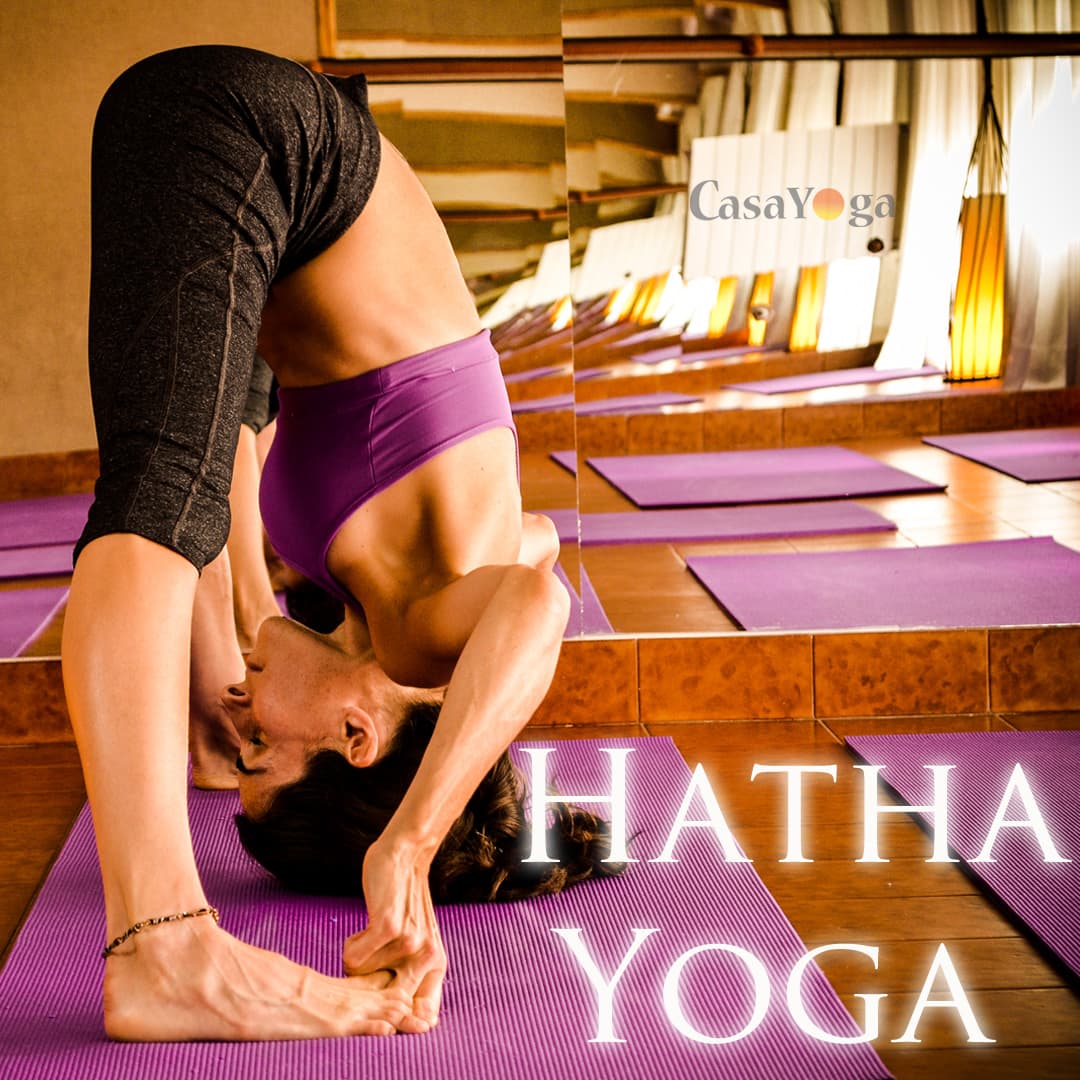 Casa Yoga
