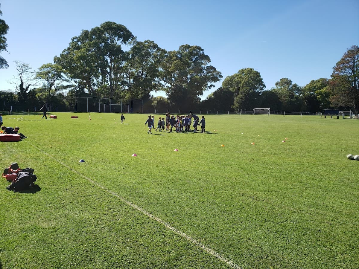 Club de Remo de Azul