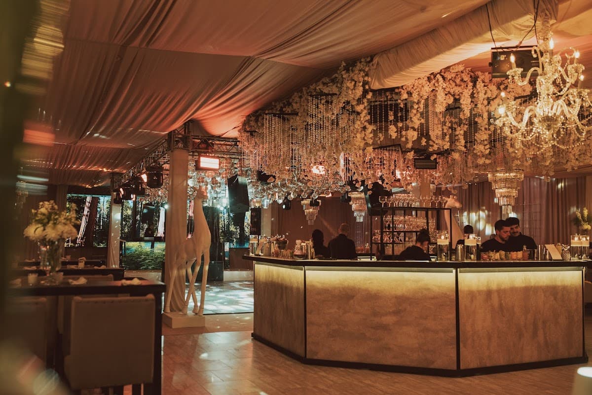 Margarita Drinks Barra de Tragos