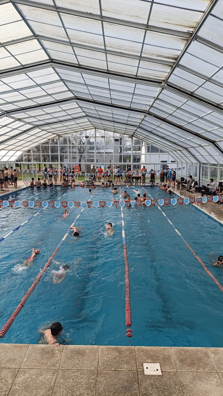 Pileta Climatizada Municipal