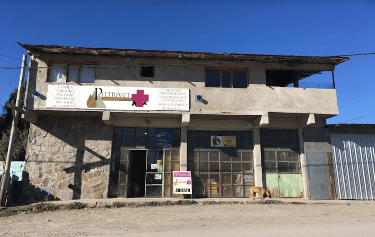 Veterinaria PiltriVet